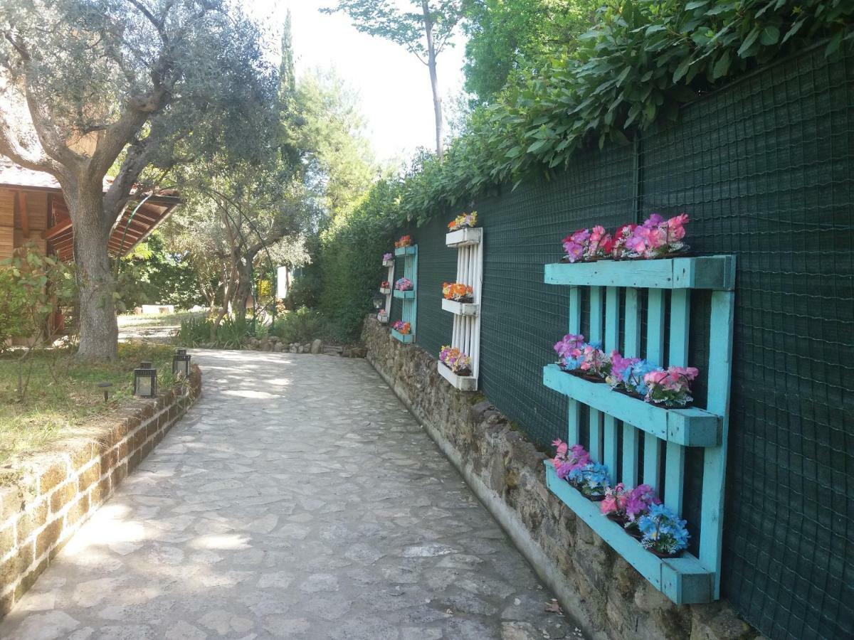 B&B Land & Sea Campofilone Extérieur photo
